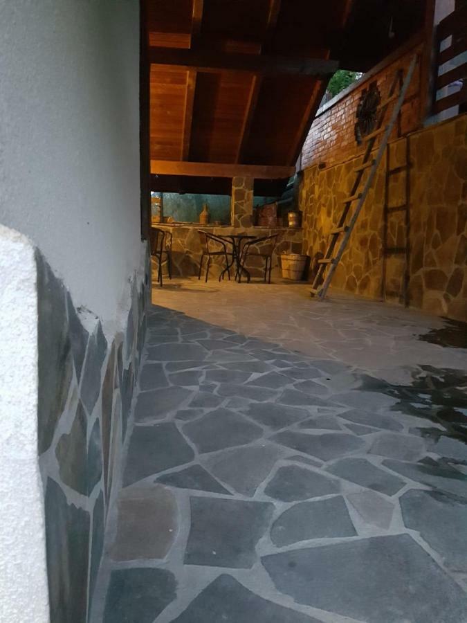 Pensiunea Rustic Borşa Eksteriør billede