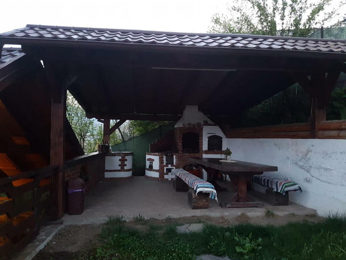 Pensiunea Rustic Borşa Eksteriør billede